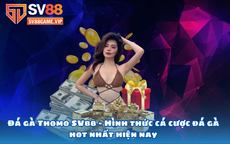 Đá gà Thomo SV88 – Hình thức cá cược đá gà hot nhất hiện nay