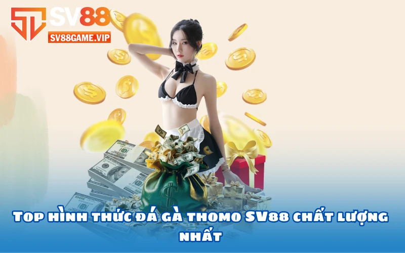 top-hinh-thuc-da-ga-thomo-sv88-chat-luong-nhat